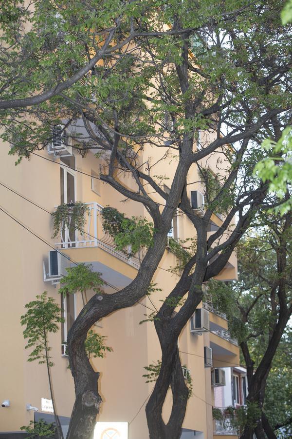 Vila Tako - Hotel Tirana Buitenkant foto